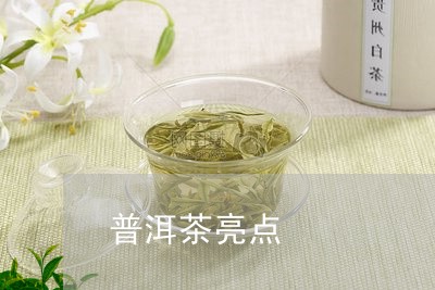 普洱茶亮点/2023090661572