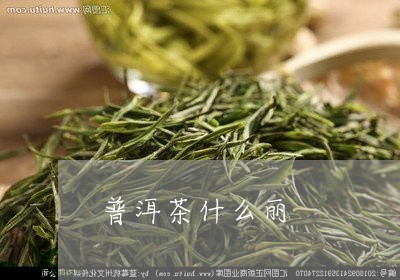 普洱茶什么丽/2023042664419