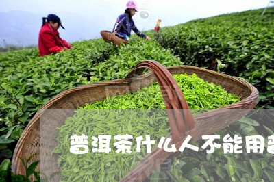 普洱茶什么人不能用普洱茶工艺/2023053008594