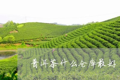 普洱茶什么仓库最好/2023070806359