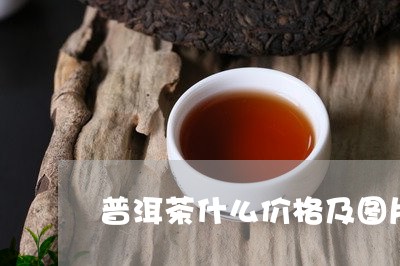 普洱茶什么价格及图片/2023062399705