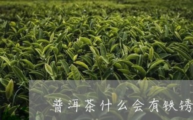 普洱茶什么会有铁锈味/2023080187470