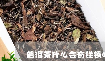 普洱茶什么会有铁锈味/2023100534979