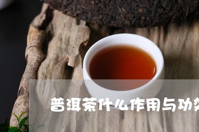 普洱茶什么作用与功效最好喝/2023121619482