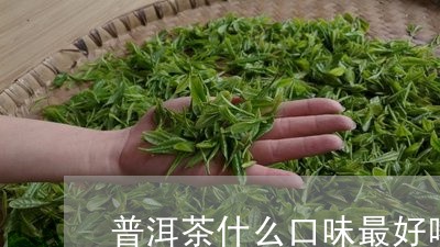 普洱茶什么口味最好喝/2023080331702