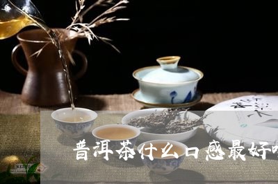 普洱茶什么口感最好喝的/2023082514138