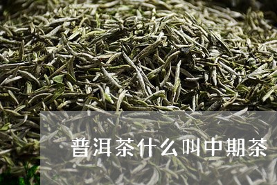 普洱茶什么叫中期茶/2023091555059