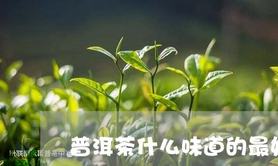 普洱茶什么味道的最好/2023080363726