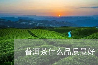 普洱茶什么品质最好/2023070817353