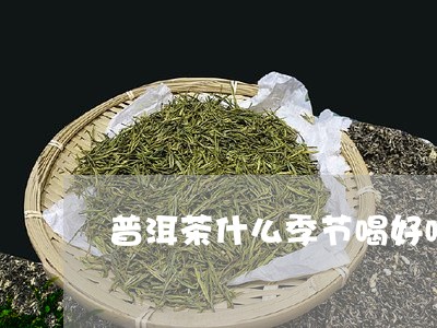 普洱茶什么季节喝好喝/2023120759360