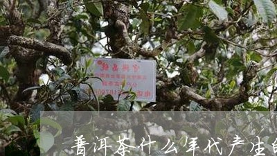 普洱茶什么年代产生的/2023100868250