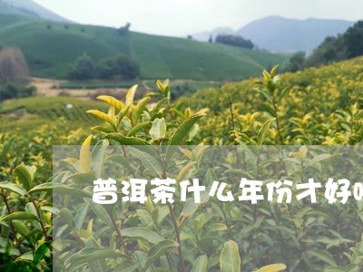 普洱茶什么年份才好喝/2023062435059