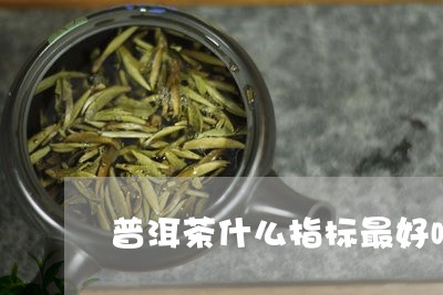 普洱茶什么指标最好喝的/2023082508504