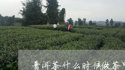 普洱茶什么时候做茶叶好/2023120746147