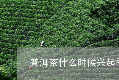 普洱茶什么时候兴起的/2023062287149