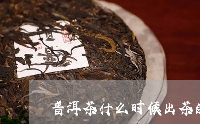 普洱茶什么时候出茶的多/2023121641725