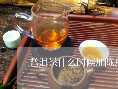 普洱茶什么时候加陈皮/2023112775847