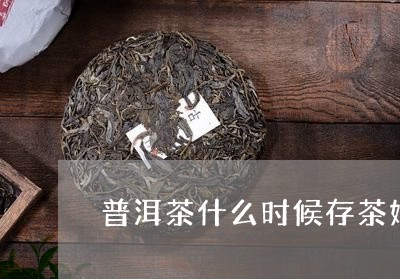 普洱茶什么时候存茶好一点/2023112572059