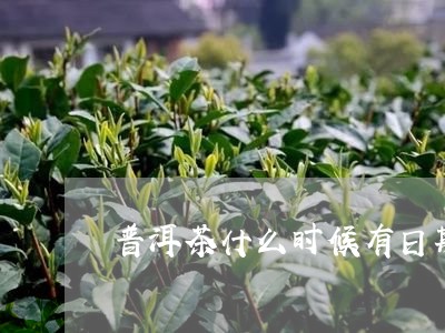 普洱茶什么时候有日期/2023092901736