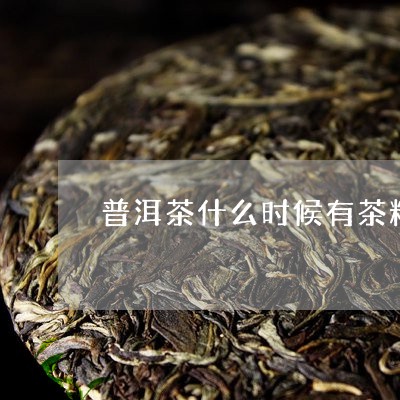 普洱茶什么时候有茶籽/2023073155360