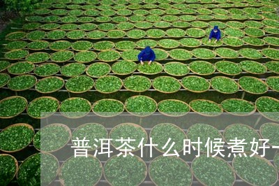 普洱茶什么时候煮好一点/2023121612826