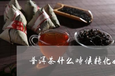 普洱茶什么时候转化好喝/2023112535959