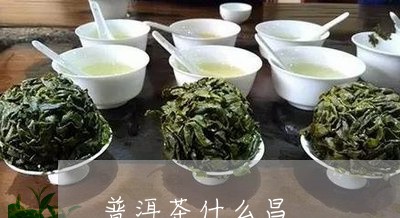 普洱茶什么昌/2023042826801