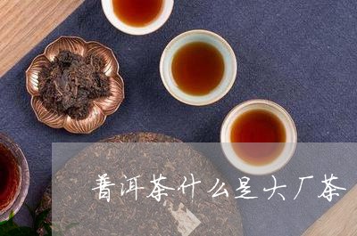 普洱茶什么是大厂茶/2023070990603