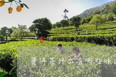 普洱茶什么有哪些味道/2023100804934