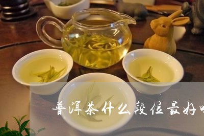 普洱茶什么段位最好喝/2023062543028