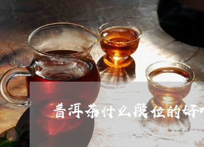 普洱茶什么段位的好喝一些/2023112454826