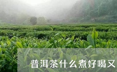 普洱茶什么煮好喝又香甜/2023082540605