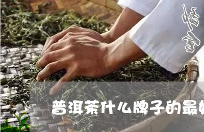 普洱茶什么牌子的最好喝/2023122083604