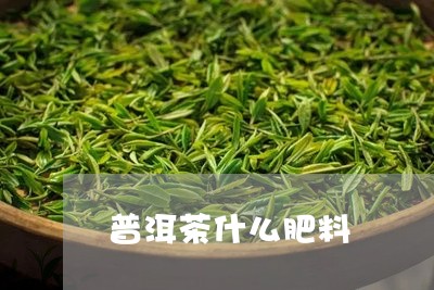 普洱茶什么肥料/2023100898251