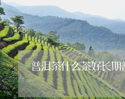 普洱茶什么茶好长期普洱茶坏处/2023053094048