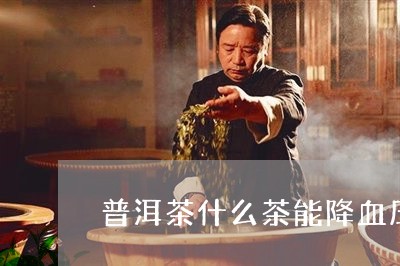 普洱茶什么茶能降血压/2023080385747