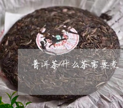 普洱茶什么茶需要煮/2023091416051