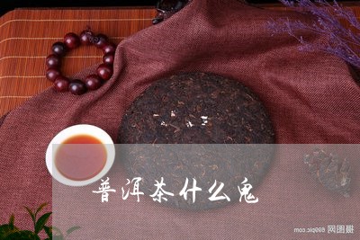 普洱茶什么鬼/2023042797566