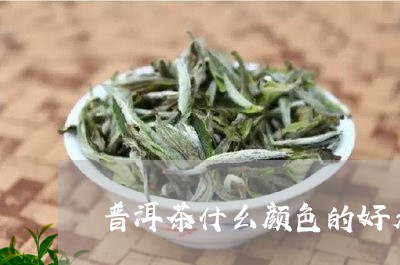 普洱茶什幺颜色的好看点/2023112738340