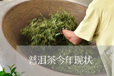 普洱茶今年现状/2023101615930