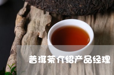 普洱茶介绍产品经理/2023091424142