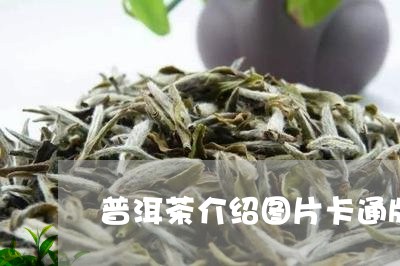 普洱茶介绍图片卡通版/2023092596139