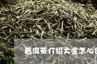 普洱茶介绍大全怎么饮用普洱茶/2023053091603