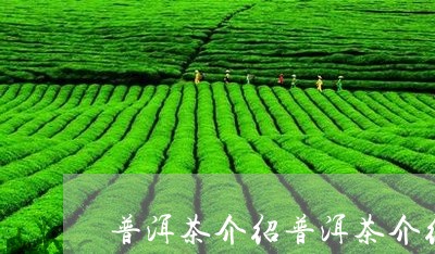 普洱茶介绍普洱茶介绍/2023062877160