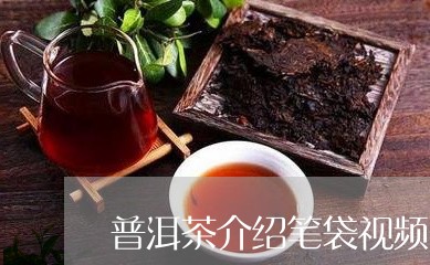 普洱茶介绍笔袋视频图解/2023112881493