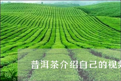 普洱茶介绍自己的视频/2023080114927