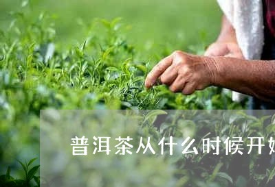 普洱茶从什么时候开始/2023062250401