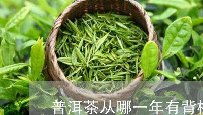 普洱茶从哪一年有背标/2023120645150