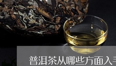 普洱茶从哪些方面入手最好/2023112491925