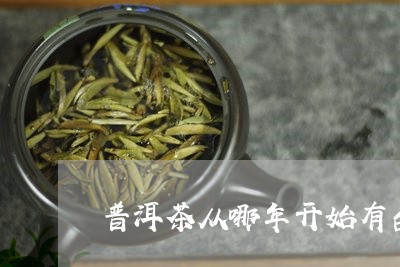 普洱茶从哪年开始有台地茶/2023110206148